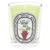 Diptyque Bougie Citronnelle