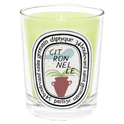 Diptyque Bougie Citronnelle -Kevin Murphy Magasin bougie citronelle 2