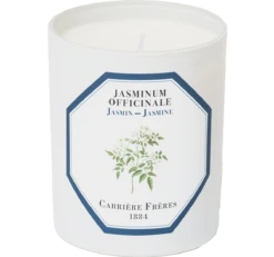 Carrière Frères Bougie Parfumée Jasmin - Jasminum Officinale
