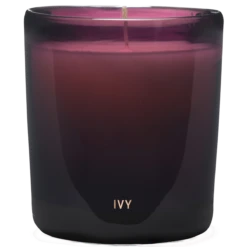 Perfumer H Ivy -Kevin Murphy Magasin ivy 2